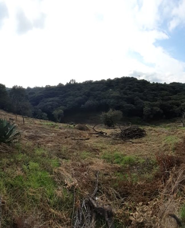 1 Venta de Super Terreno en Zona Esmeralda!!!