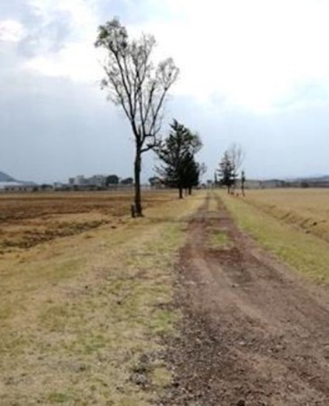 10 Venta de Terrenos Urbanos Habitacional/Comercial /Industrial Atlacomulco