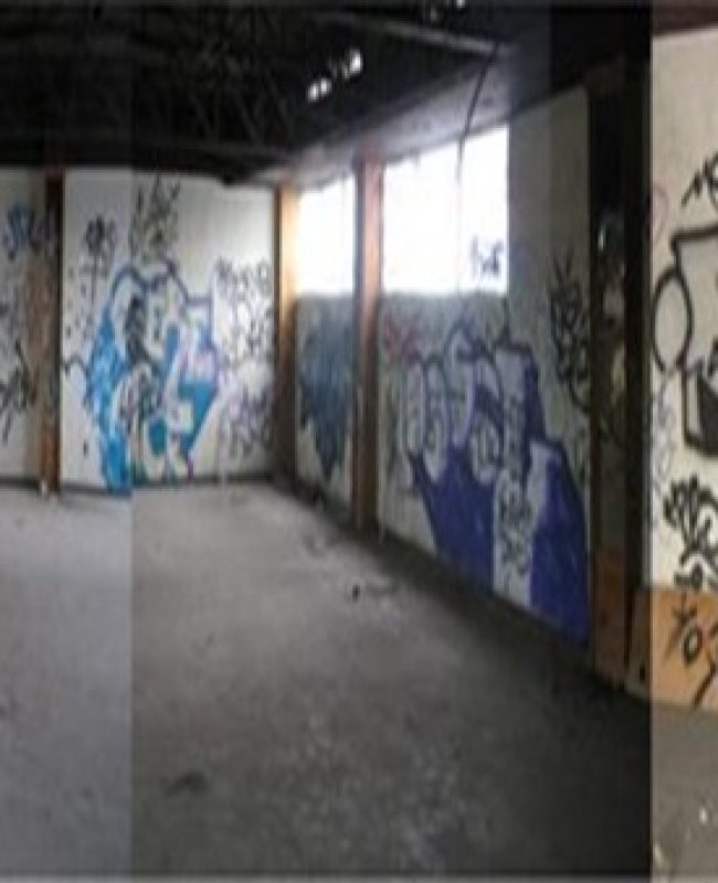 4 RENTA NAVE INDUSTRIAL EN IRAPUATO GTO