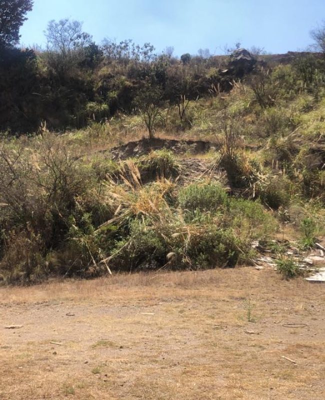 4 Venta de Terreno en Rancho Blanco