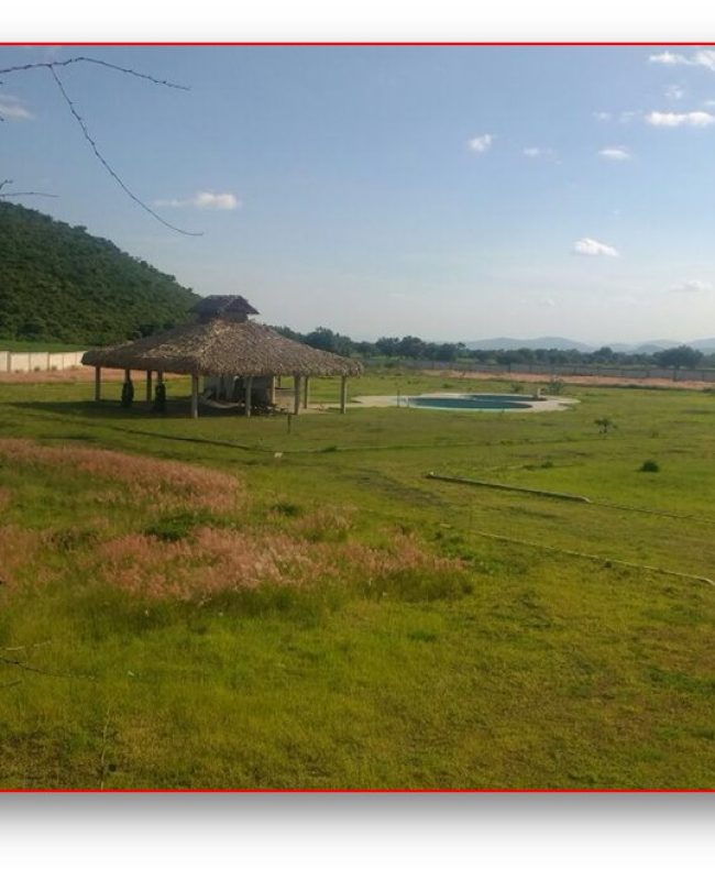 6 Venta de Terreno en Huaquechula Puebla