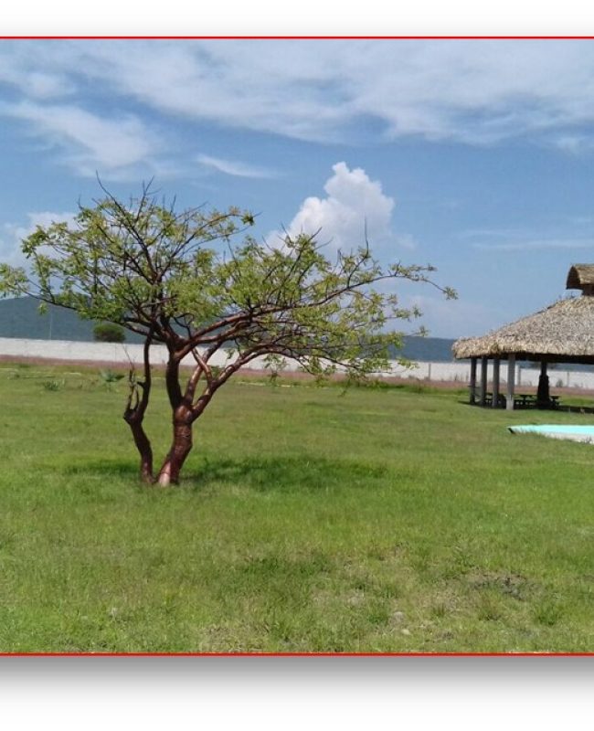 7 Venta de Terreno en Huaquechula Puebla