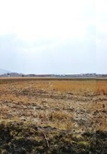 7 Venta de Terrenos Urbanos Habitacional/Comercial /Industrial Atlacomulco