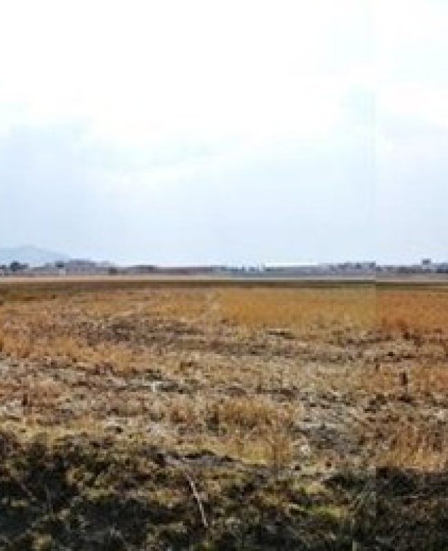 7 Venta de Terrenos Urbanos Habitacional/Comercial /Industrial Atlacomulco