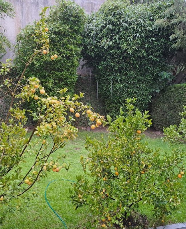 Casa Campestre Chiluca 17