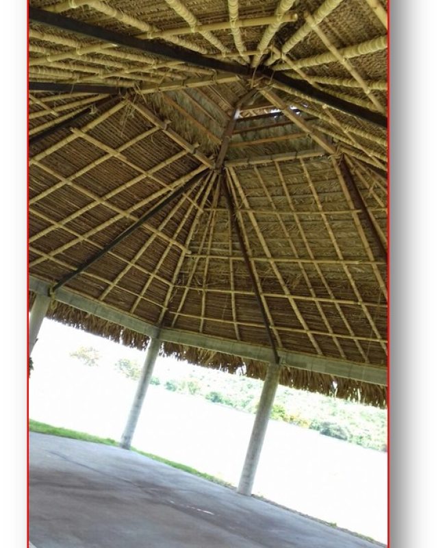 Imagen 5 Venta de Terreno en Huaquechula Puebla