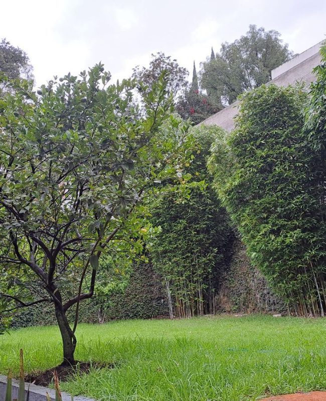 casa Campestre Chiluca 16