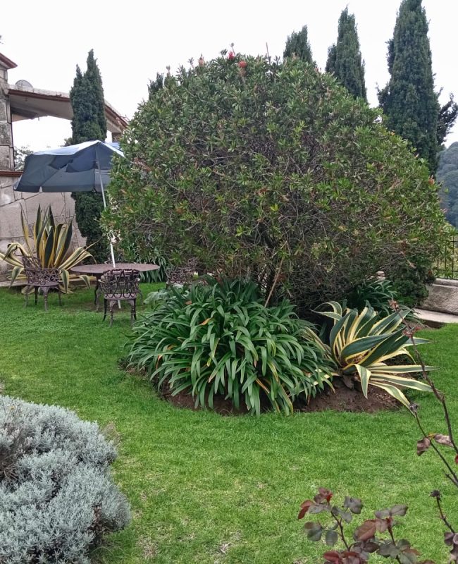 casa Santa Ana Jilotzingo 12