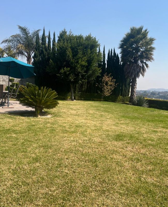 renta casa Fincas 12