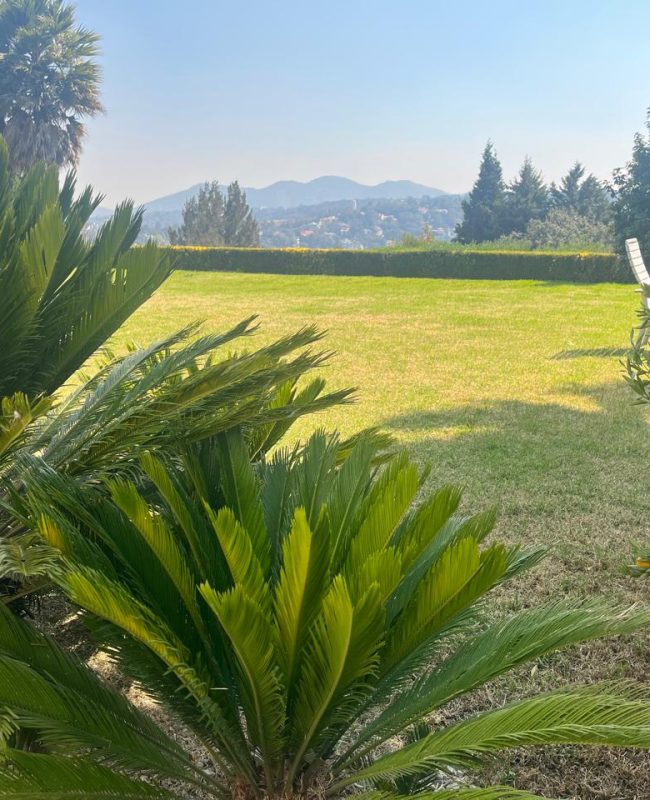 renta casa Fincas 13