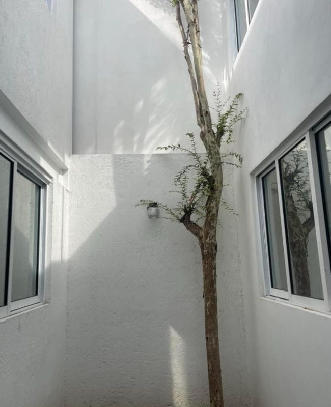 renta consultorios 2