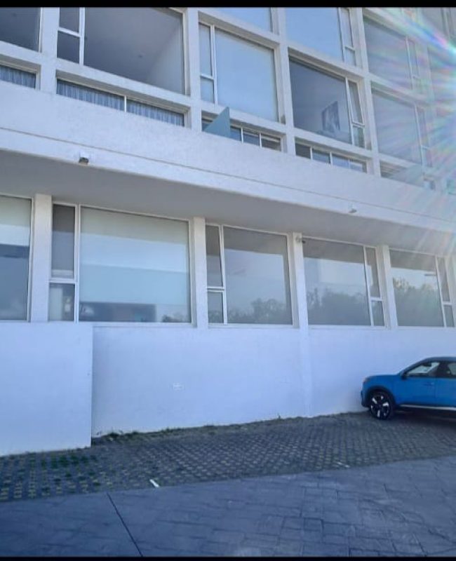 renta departamento Arbolada 2