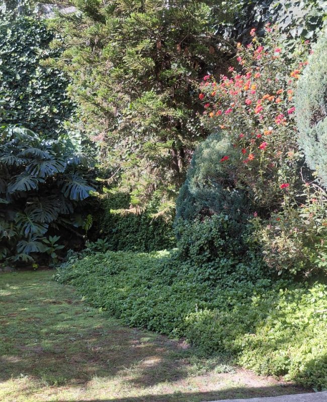 renta depto Bosques de las Lomas 14