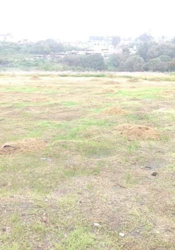 terreno-Rancho-Blanco-5