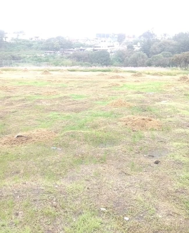 terreno-Rancho-Blanco-5