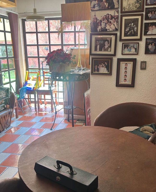 venta Torres Lindavista 6