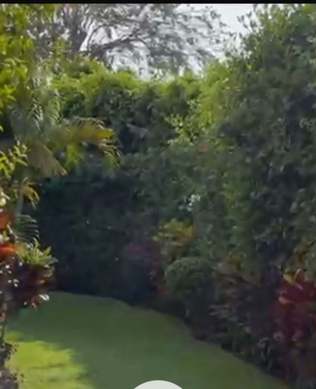 venta casa Jiutepec Morelos 9