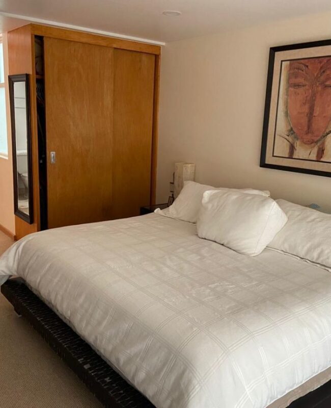 venta casa col del valle 5