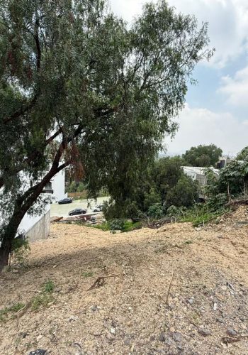 venta terreno Bellavista 1