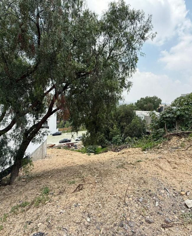 venta terreno Bellavista 5