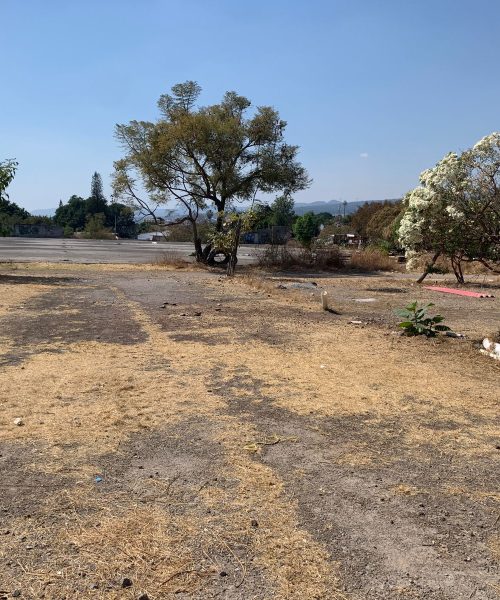 venta terreno Burgos Cuernavaca 3