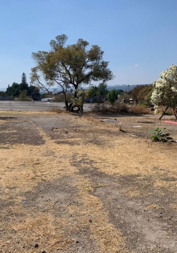 venta terreno Burgos Cuernavaca 3 guardar