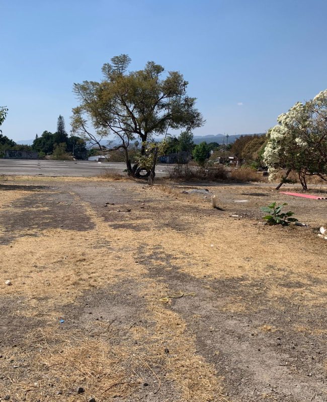 venta terreno Burgos Cuernavaca 3 guardar