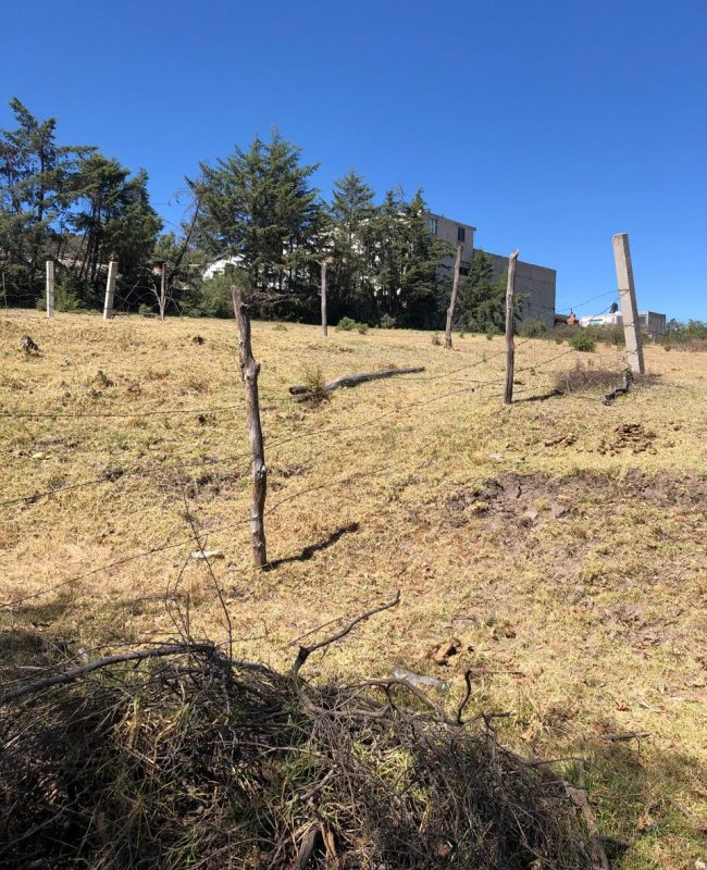 venta terreno Jilotzingo 1