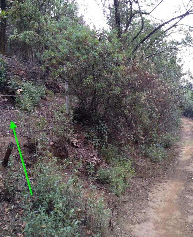 venta terreno Jilotzingo 1