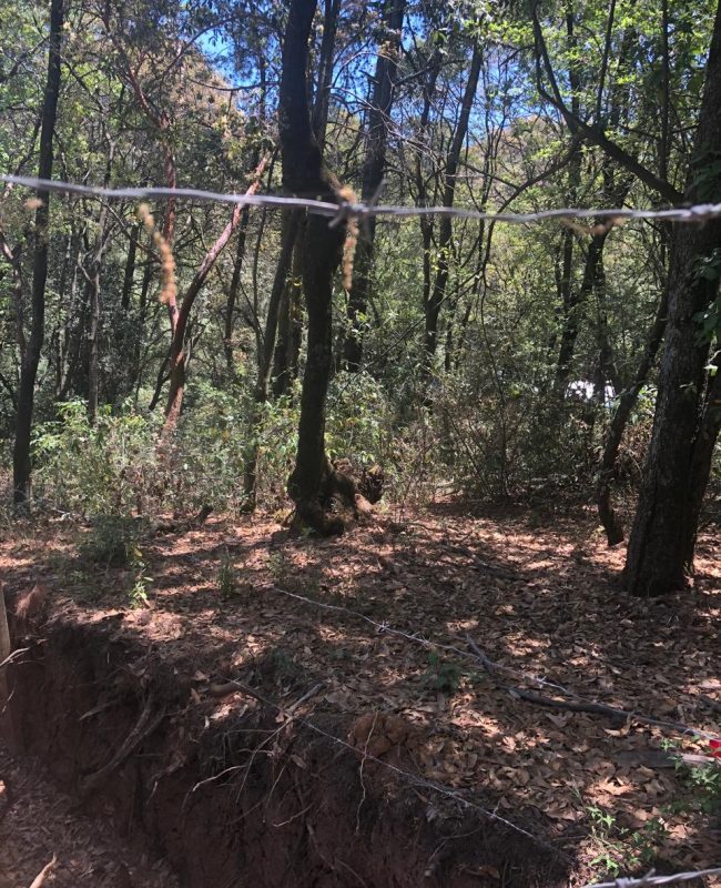 venta terreno Jilotzingo 12