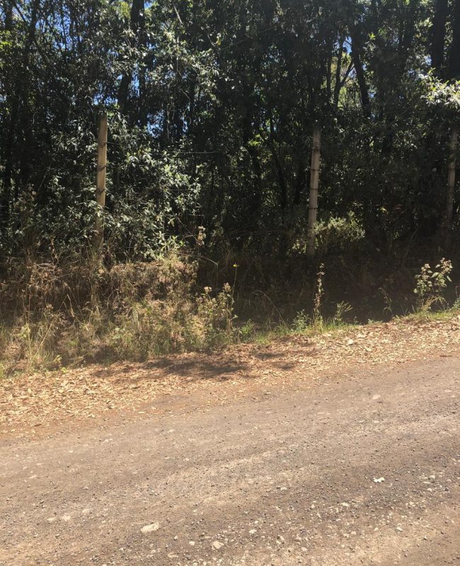 venta terreno Jilotzingo 13