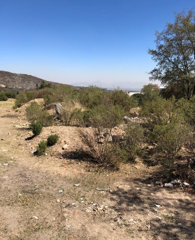 venta terreno Jilotzingo 14