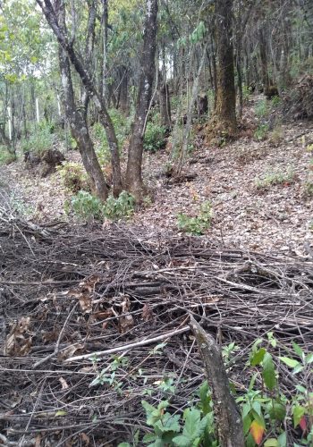 venta terreno Jilotzingo 2