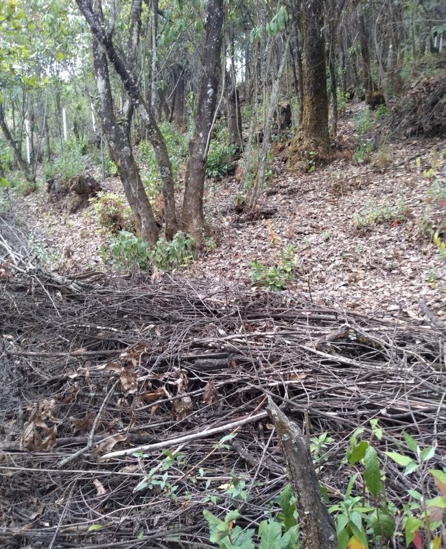 venta terreno Jilotzingo 2