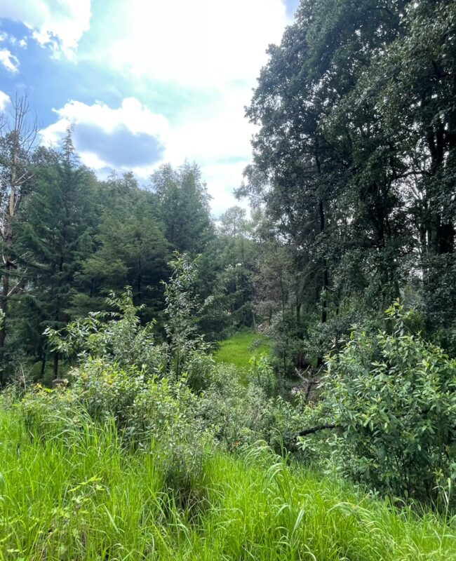 venta terreno Jilotzingo 3