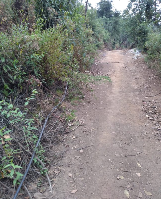 venta terreno Jilotzingo 4