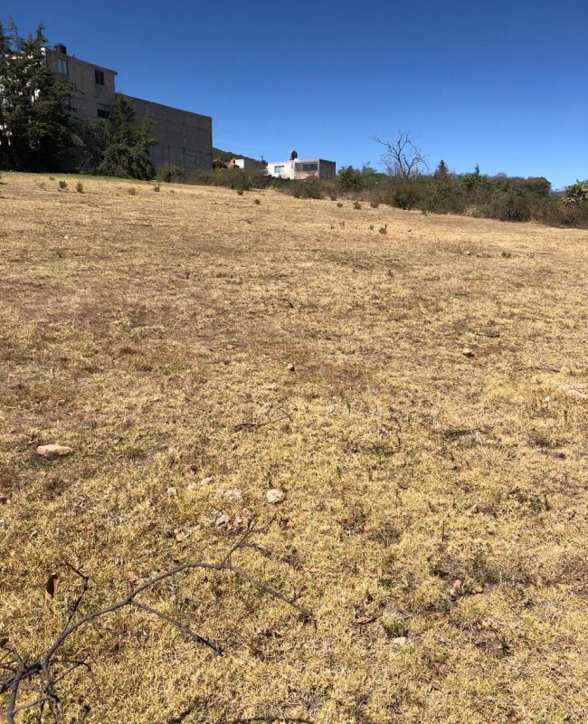 venta terreno Jilotzingo 4