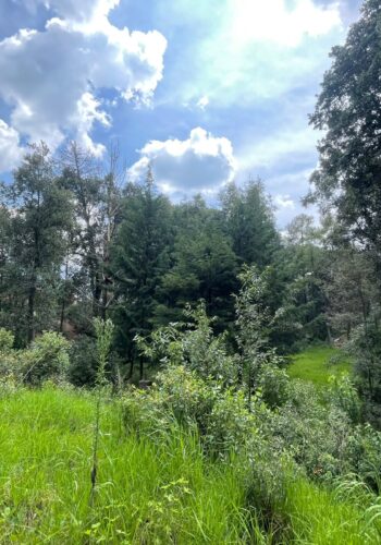 venta terreno Jilotzingo 4