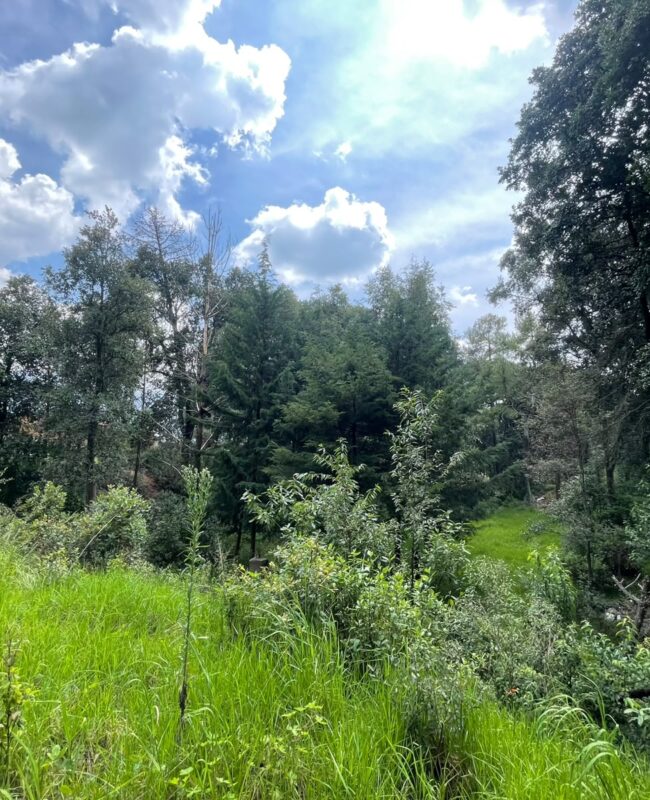 venta terreno Jilotzingo 4