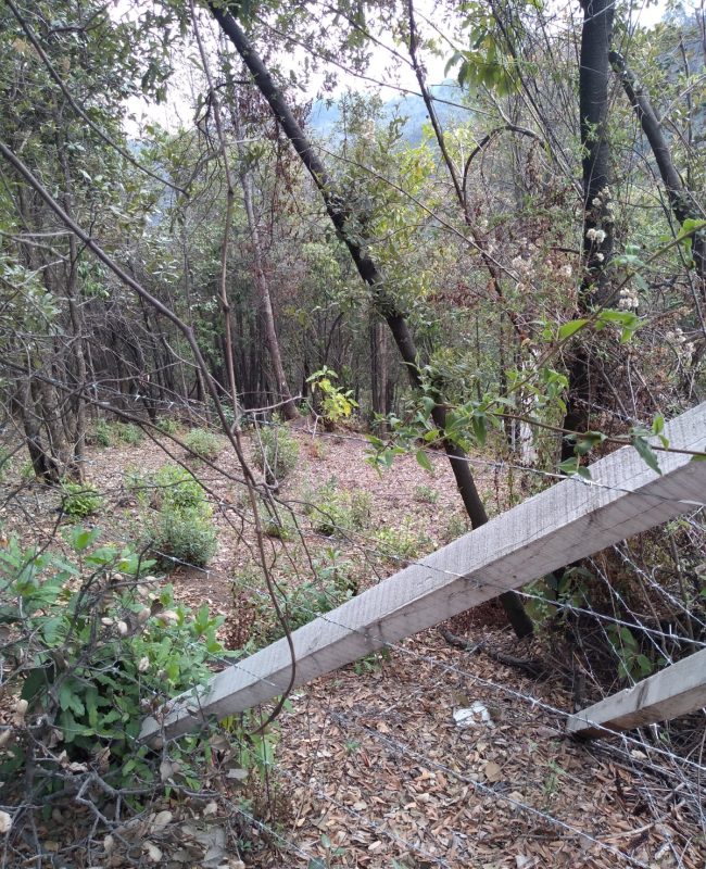 venta terreno Jilotzingo 5