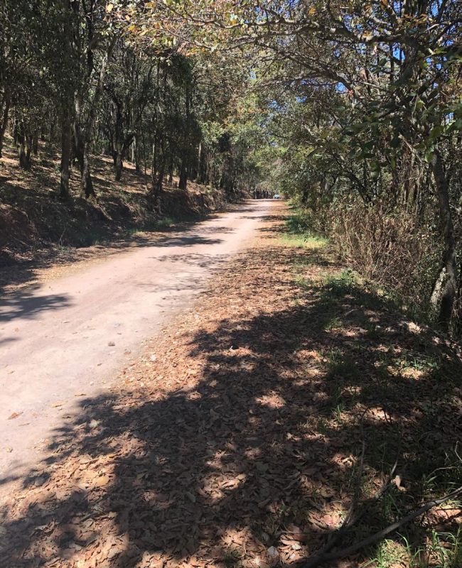 venta terreno Jilotzingo 7