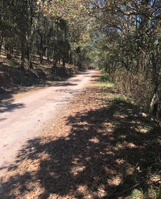 venta terreno Jilotzingo 7