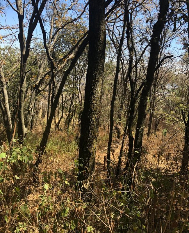 venta terreno Jilotzingo 8