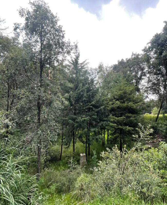 venta terreno Jilotzingo 8