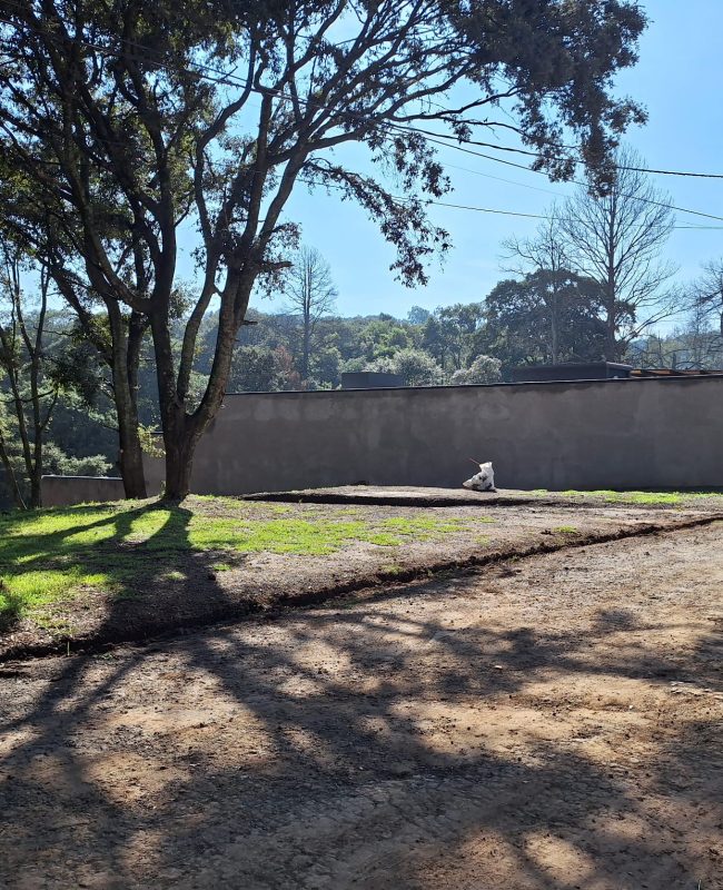 venta terreno Mazatla 2