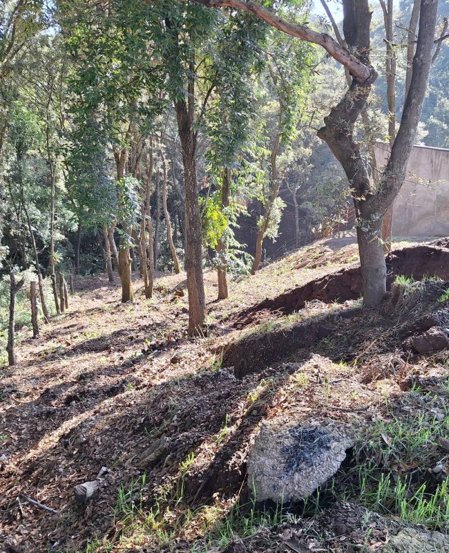 venta terreno Mazatla 4