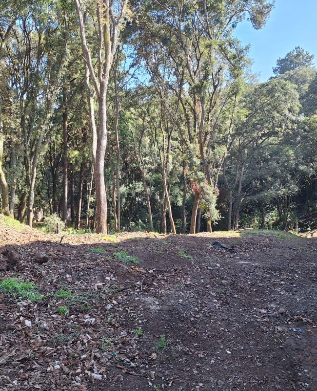 venta terreno Mazatla 5