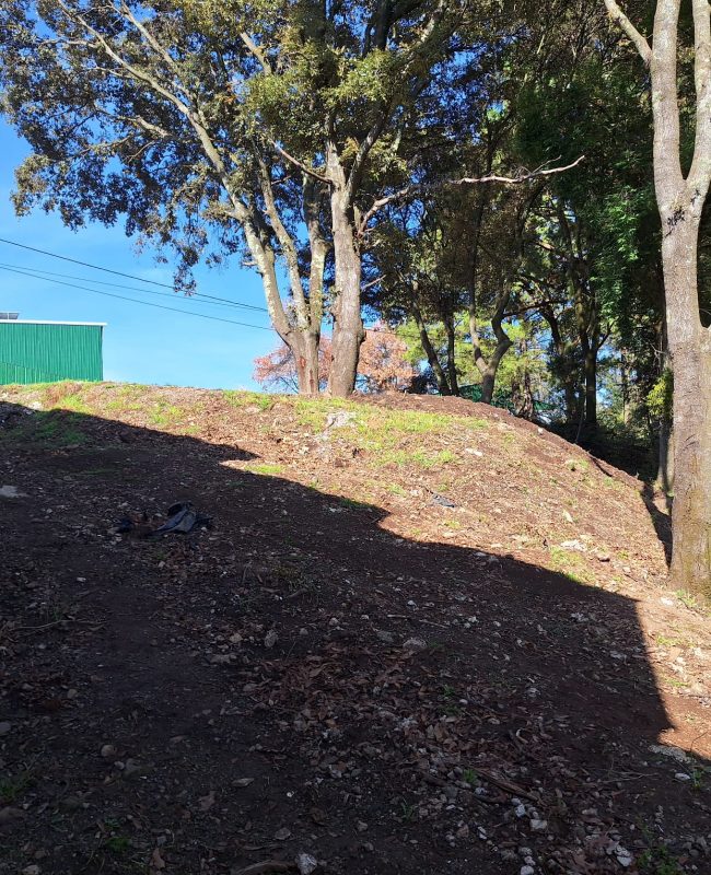 venta terreno Mazatla 6