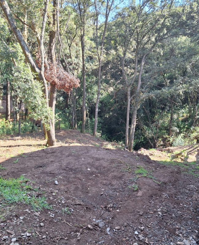 venta terreno Mazatla 8