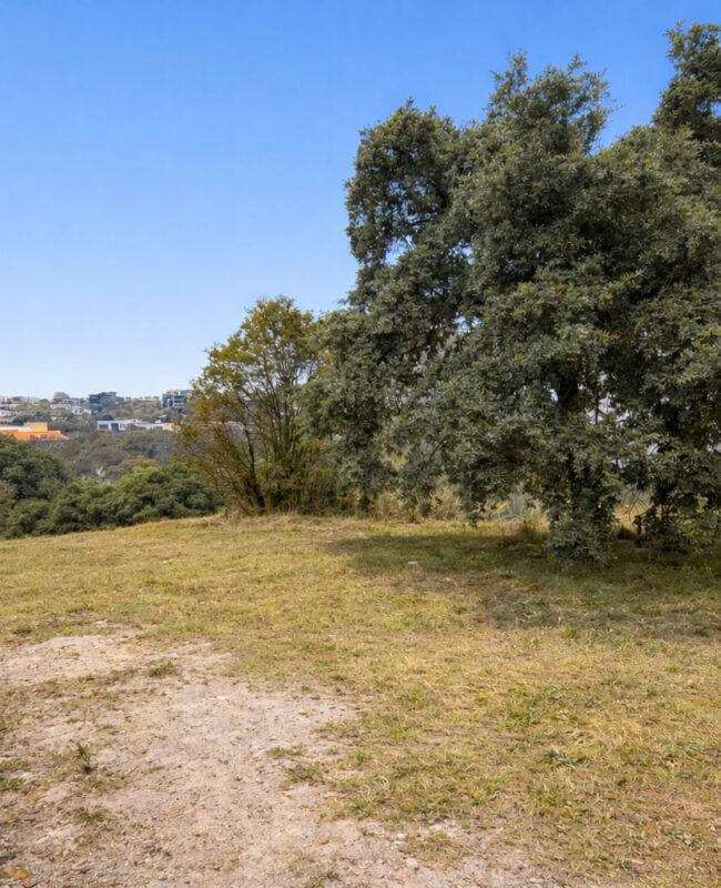 venta terreno Rancho San Juan 5